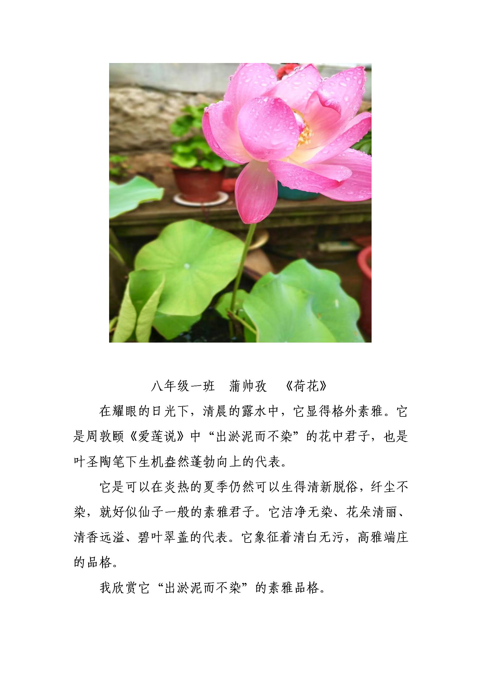 文章附圖