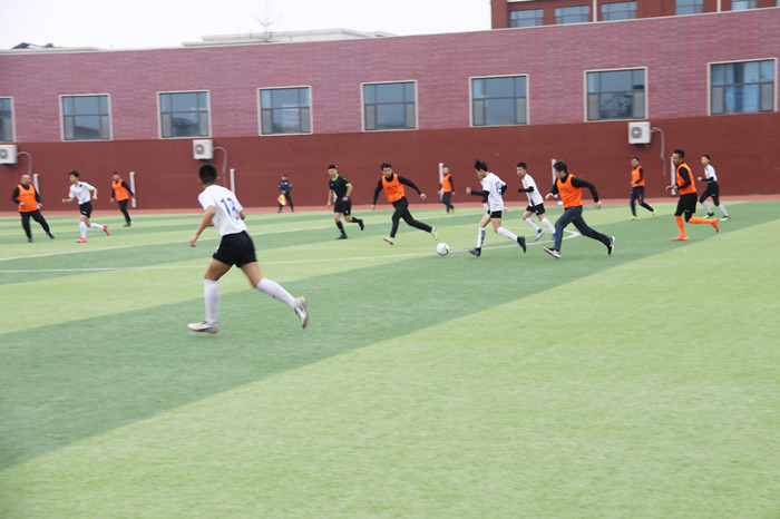 IMG_5918.JPG