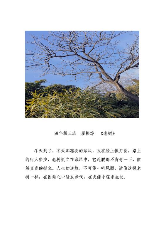 四年級3班翟振燁.jpg