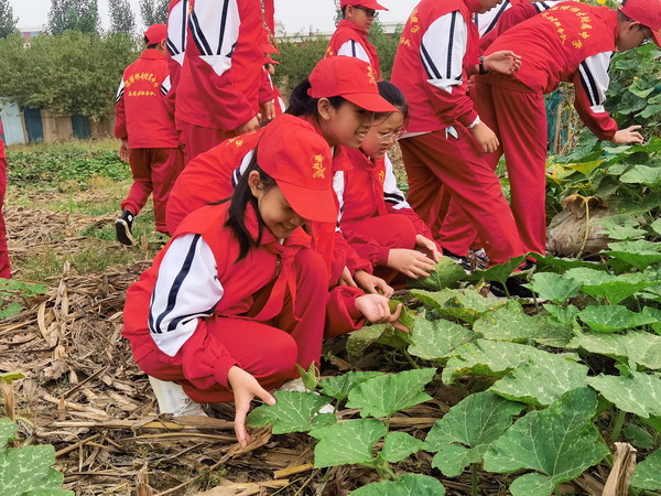IMG_20200925_130855_縮小大小.jpg