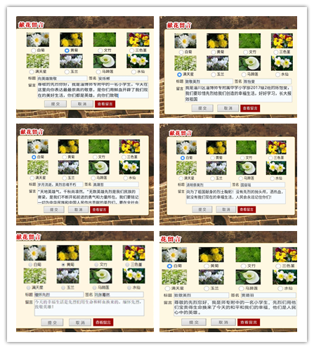6.png